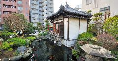 A shard of paradise in Ueno