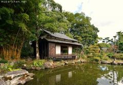 Tensha-en garden bamboo grove