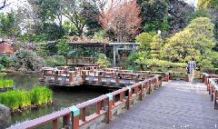 Togo Shrine Japanese Garden in Winter