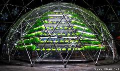 Hydroponic Garden Winter Decoration