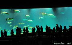 Tokyo Sea Life Park Aqua Theater