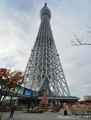 Tokyo Sky Tree Christmas Tree