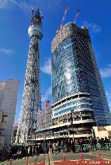 Tokyo Sky Tree Crowd