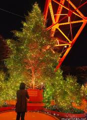 Tokyo Tower Winter Fantasy Orange Illumination