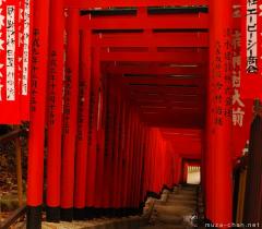 Torii gates tunnel in Tokyo