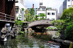 Traditional Japanese Garden