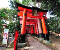 Defining Images of Japan - Torii