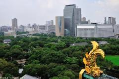Golden shachi of Osaka Castle