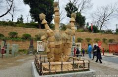 Wara-maki, Japanese garden artistic winter protection