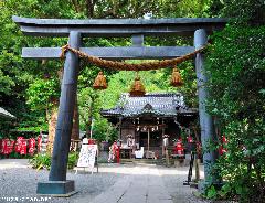 The Gion-san from Kamakura
