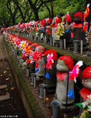 Jizo Rows